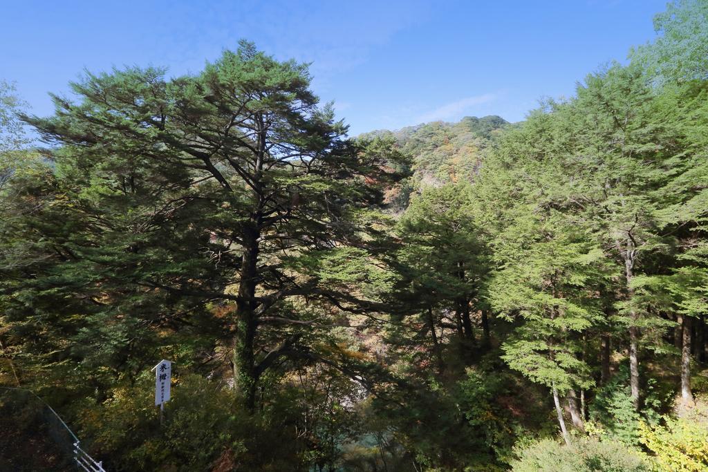 츠가노키 호텔 닛코 시 외부 사진