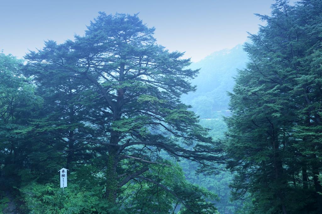 츠가노키 호텔 닛코 시 외부 사진